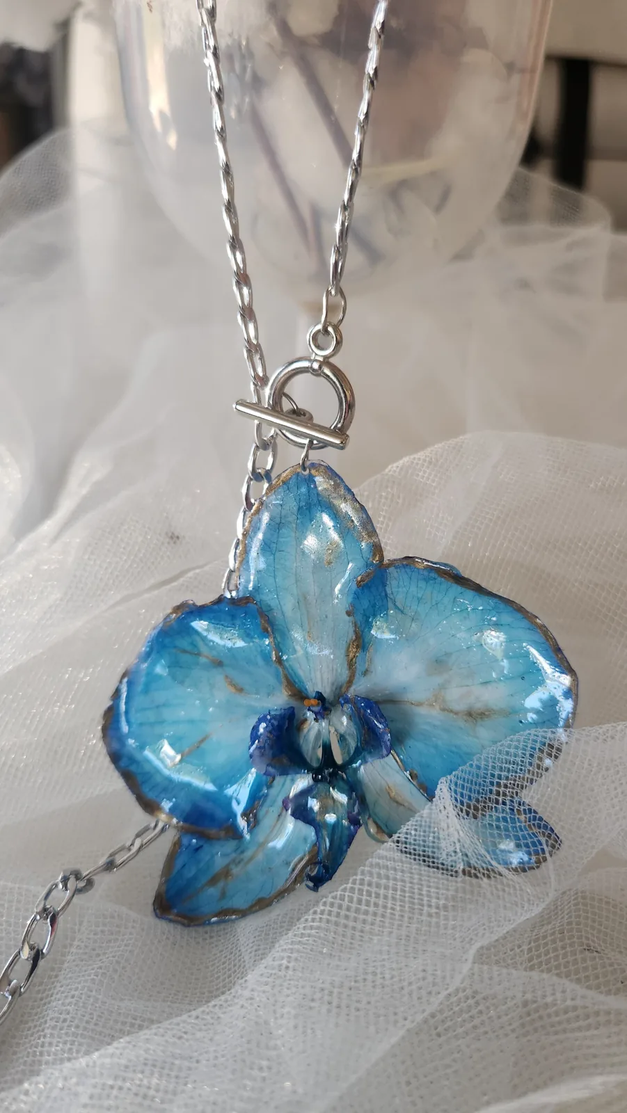Orquídea Blue, foto 1