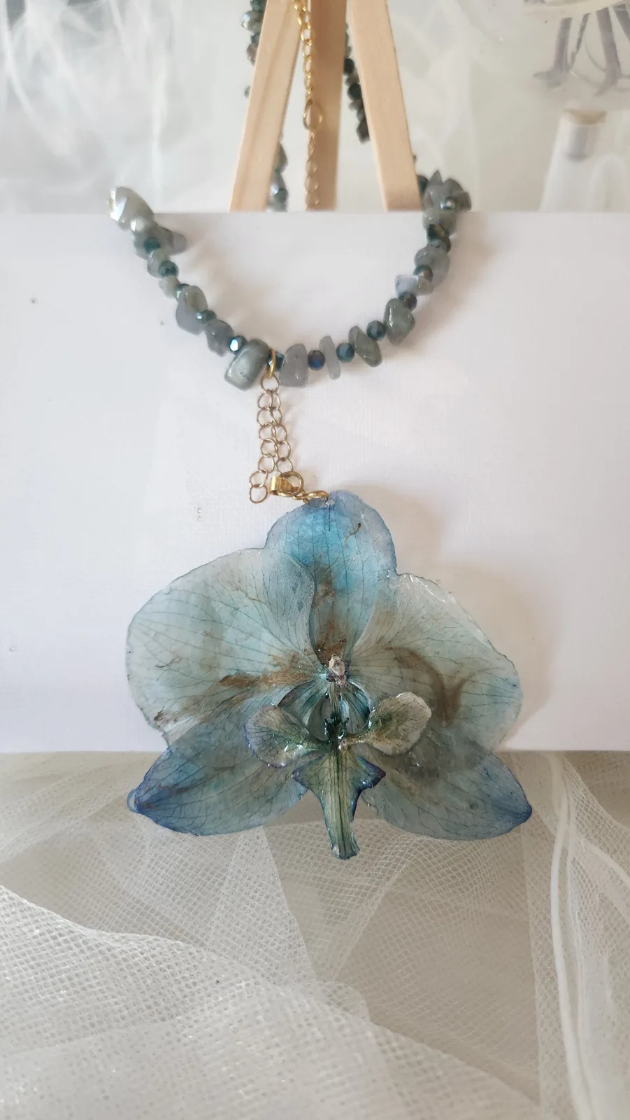 Orquídea Blue Labradorita, foto 1