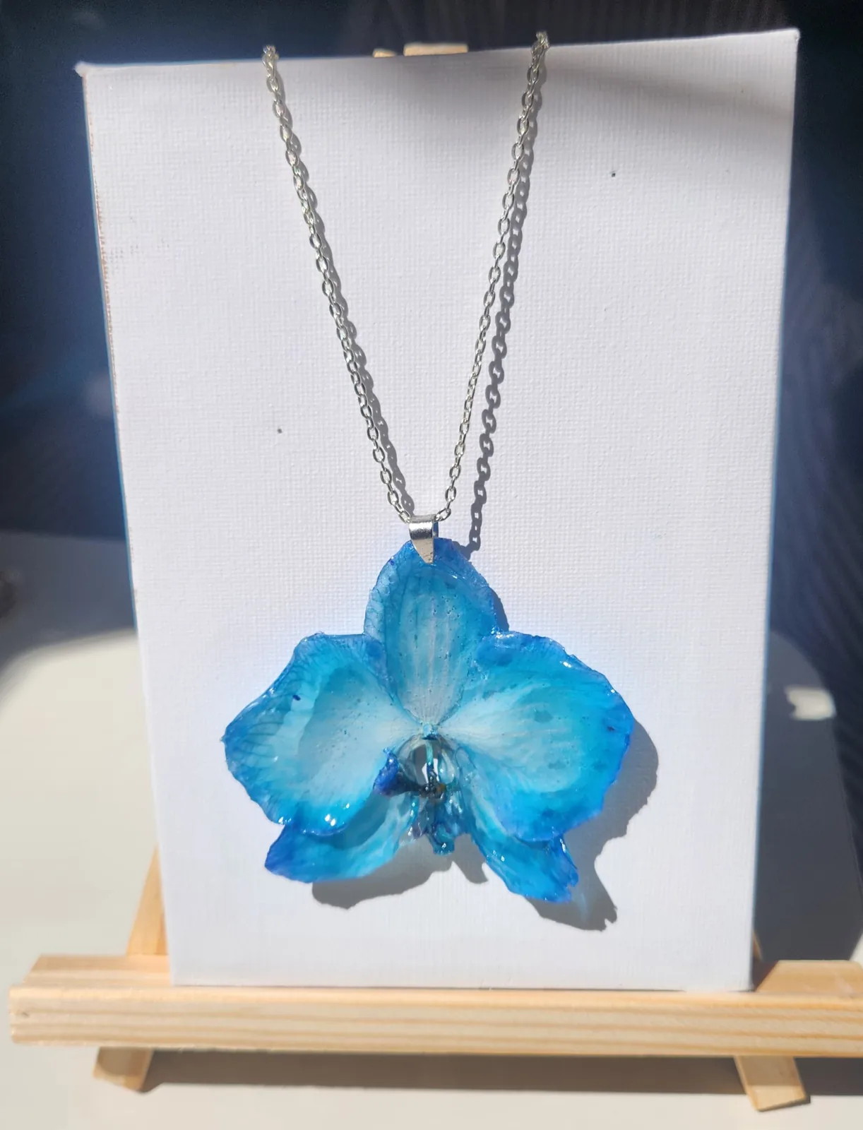 Orquídea Blue Eslabones, foto 1