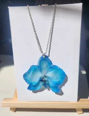 Orquídea Blue Eslabones, foto 1
