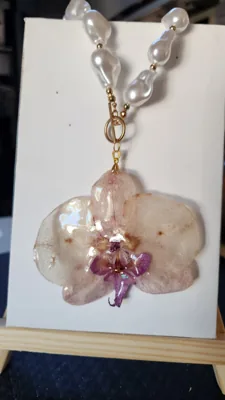 Phalaenopsis & Perlas de Fantasía, foto 1