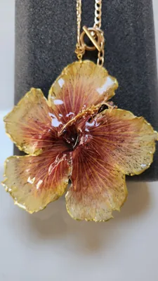 Hibiscus Sol, foto 1