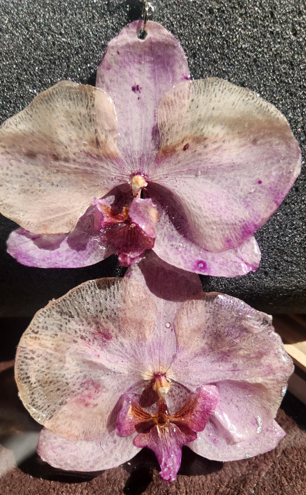 Pendientes Phalaenopsis Bicolor, foto 1