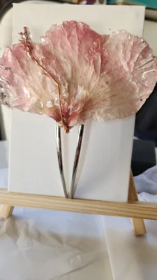 Pinza Hibiscus Rosa Palo, foto 1