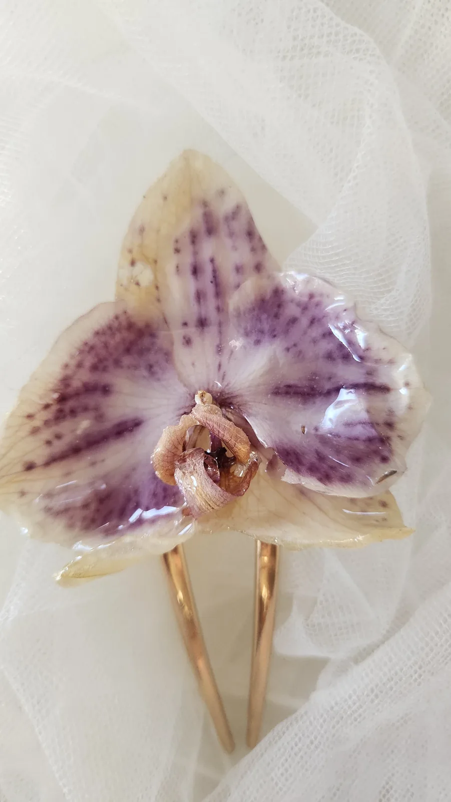 Pinza Orquídea Pintas, foto 1