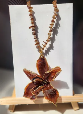 Cymbidium Ojo de Tigre, foto 1